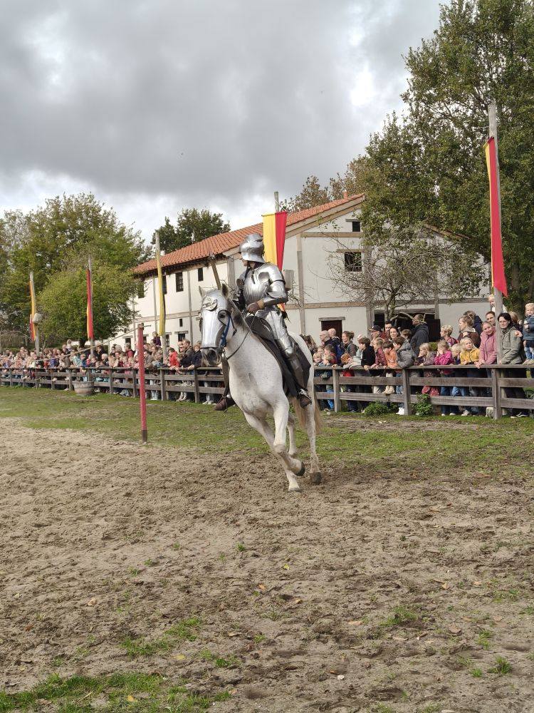 Ridder demo solo (1).jpg